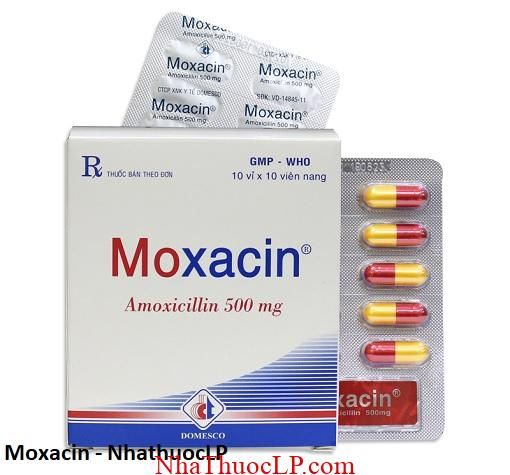 Thuoc Moxacin dieu tri nhiem trung