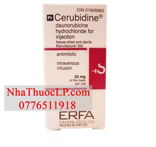 Thuốc Cerubidine Daunorubicin điều trị bệnh bạch cầu tốt